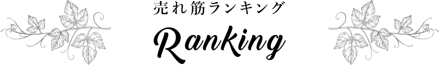 売れ筋ランキング